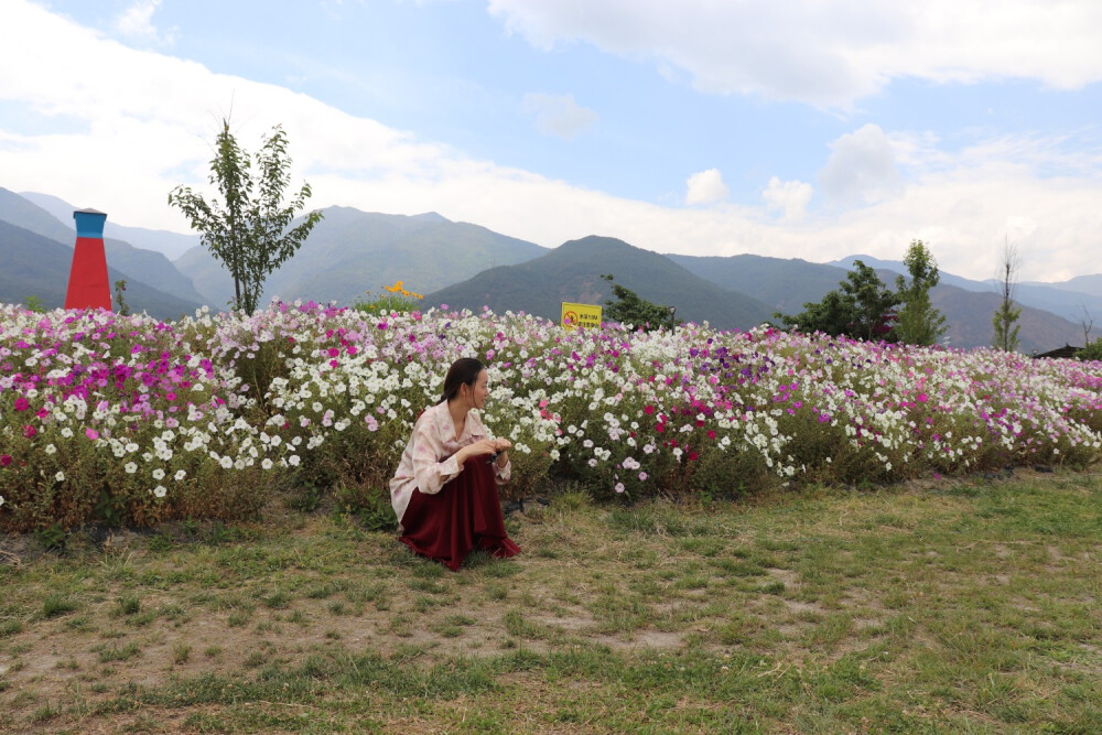 花海