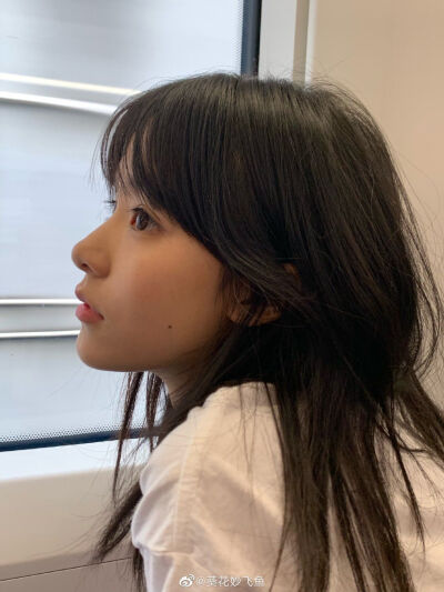 我跟你说海里有鲨鱼咬人，不让你下海，你却让我去劝鲨鱼别咬人