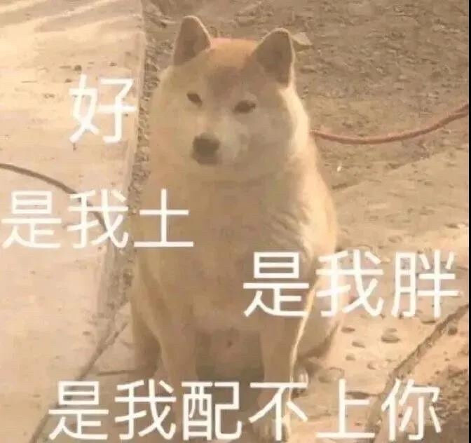 沙雕表情包