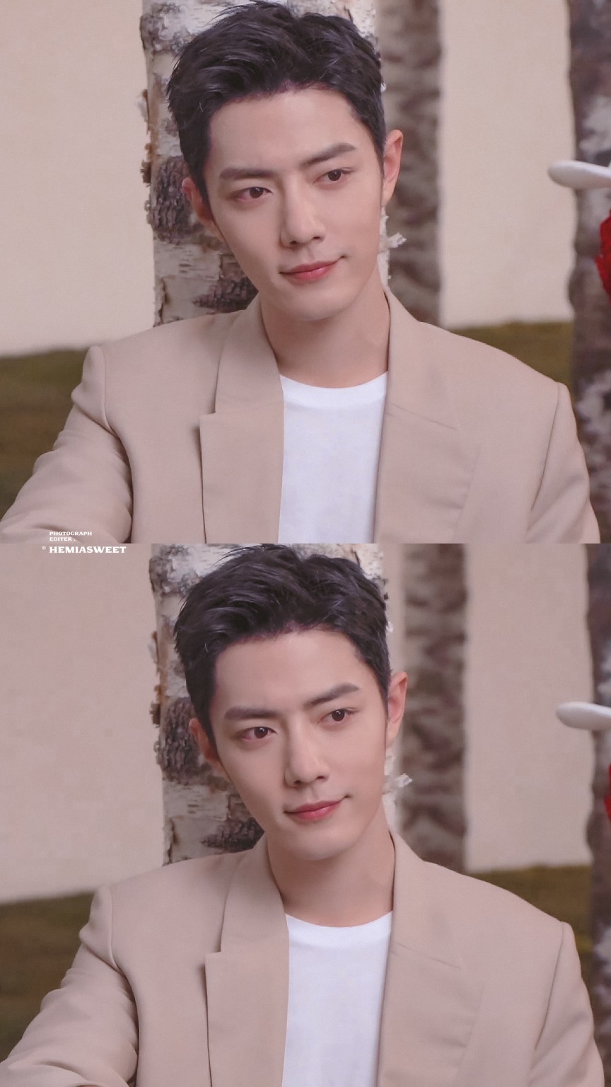 肖战 小王子 图cr hemiasweet