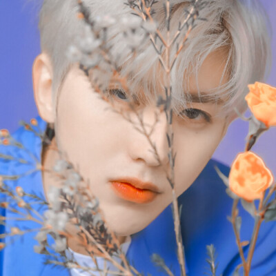 蔡徐坤
小浔糊涂