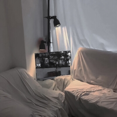  *为你而唱的歌：Petal.