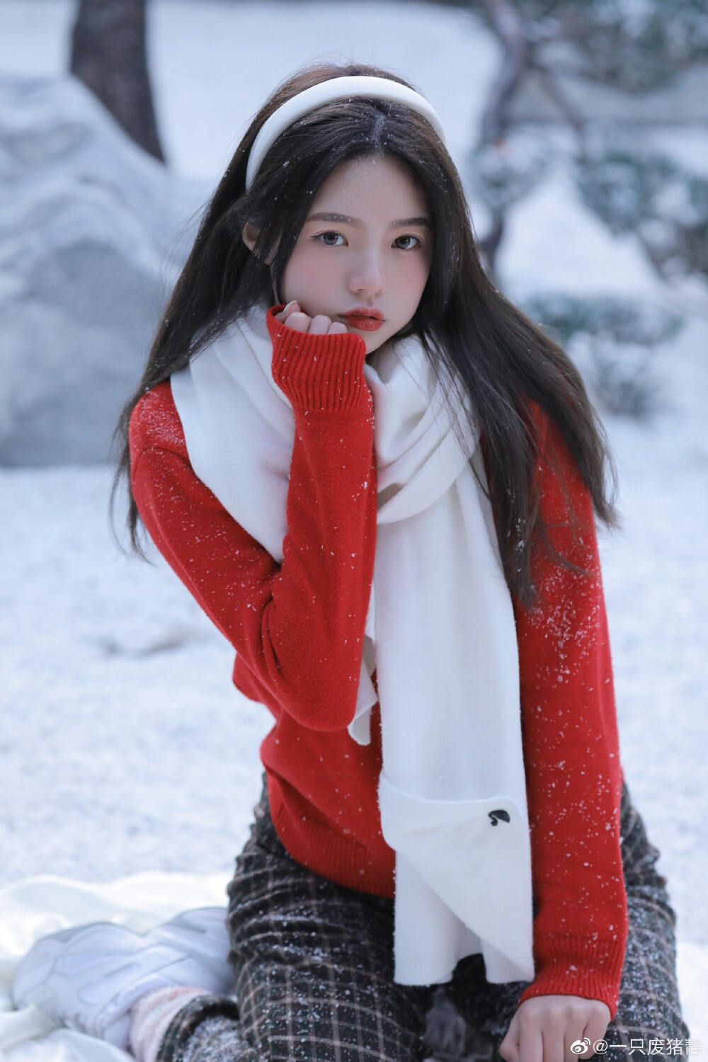 一颗雪团子
好期待下雪天呀
摄影@四鱼阿鱼
出境@一只废猪静