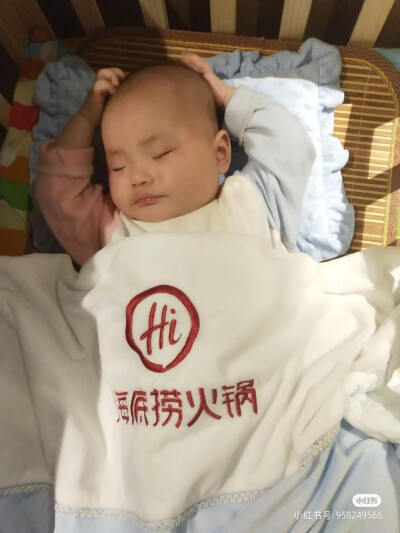 人类幼崽观察 图源小红书，仅作个人收藏，侵删