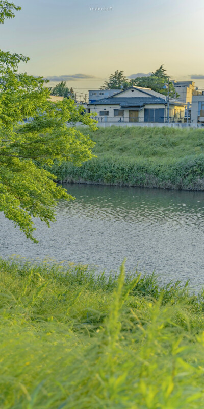 小清新 治愈系 夏天 手机壁纸 全面屏壁纸
图源微博voso调色