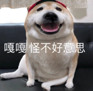 表情包