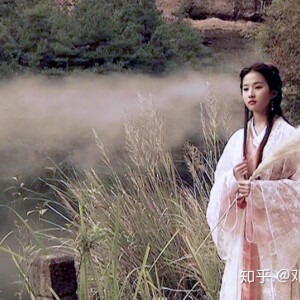 《天龙八部》
刘亦菲 王语嫣