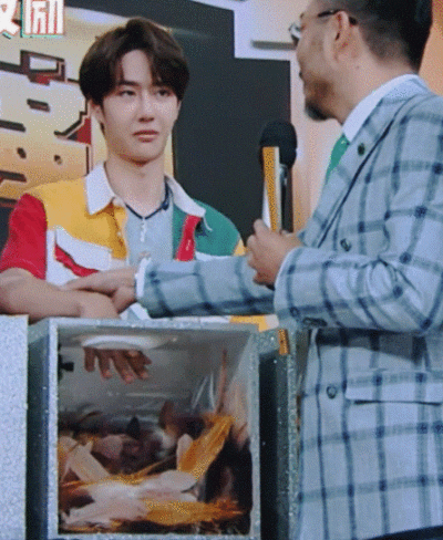 ✨这很像小动物从高处跳下来之前～想知道人会不会接住自己时的眼神✨