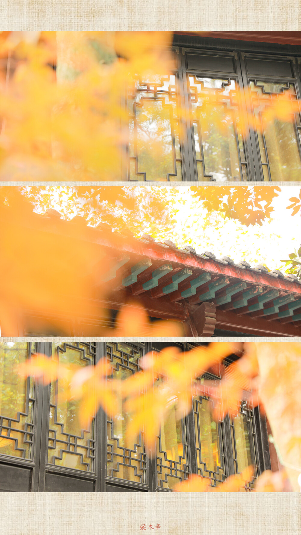 见过那棵枝繁叶茂的银杏，秋天才算结束
武汉宝通寺 | 晴川阁 | 归元寺 ​
摄影@梁木辛_