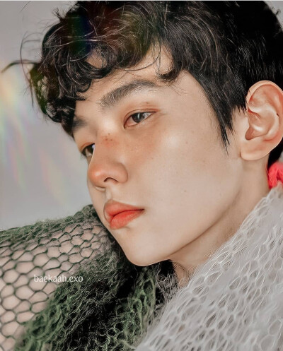 边伯贤 图cr：logo/网络 侵删