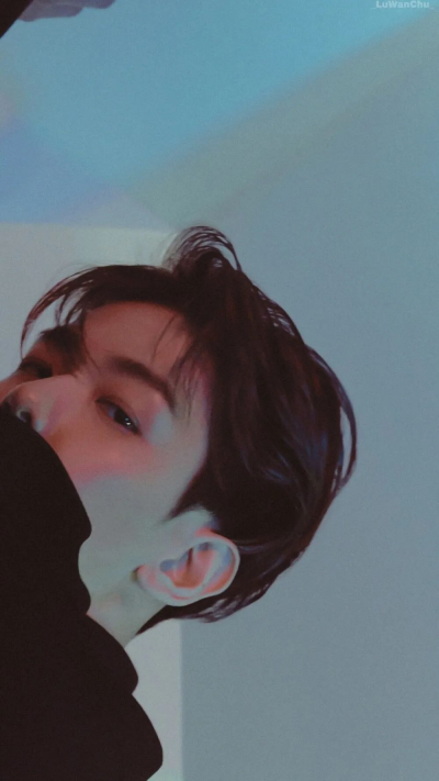 边伯贤 图cr：logo/网络 侵删