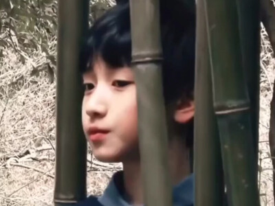 我永远爱傍晚轻抚的微风和落日黄昏.严浩翔