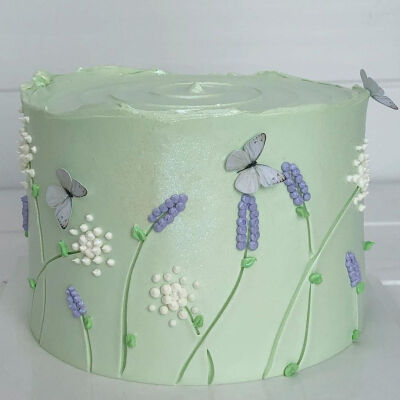 创意蝴蝶生日蛋糕