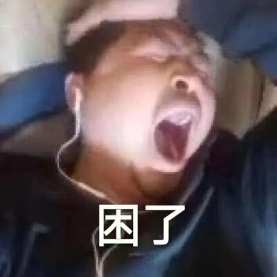 可爱丽丽