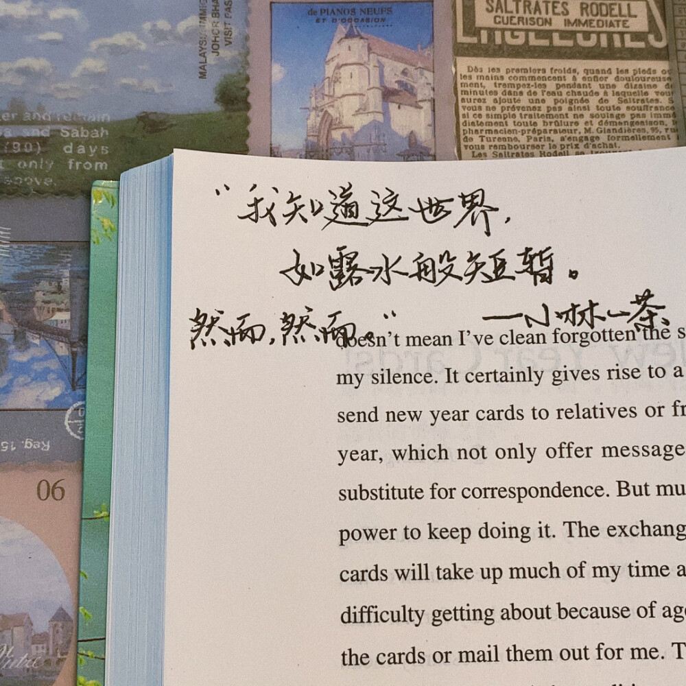 励志语录分享
背景书：《英译中国现代散文》
©️小熊手写-