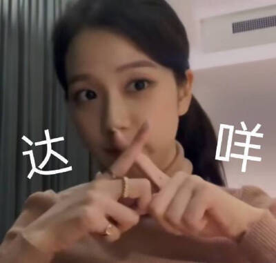 金智秀Jisoo表情包
dt小林櫻奈