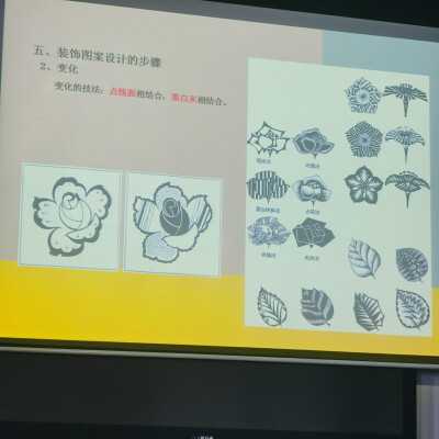 花纹样