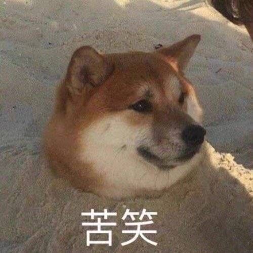 沙雕