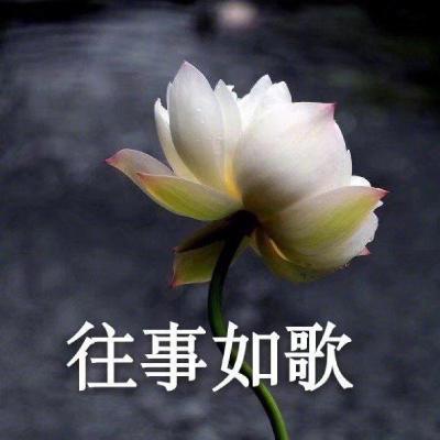 各位，哀家多年的存货