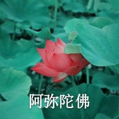 各位，哀家多年的存货