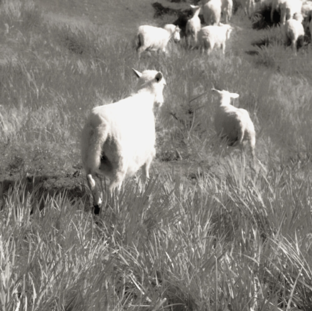 
你的秘密会是Love me吗？
