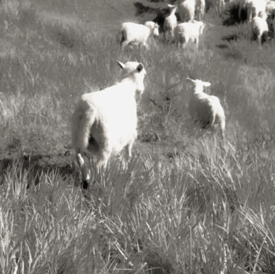 
你的秘密会是Love me吗？
