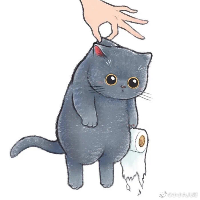 猫猫头