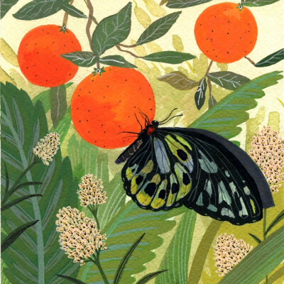 插画师 Becca Stadtlander