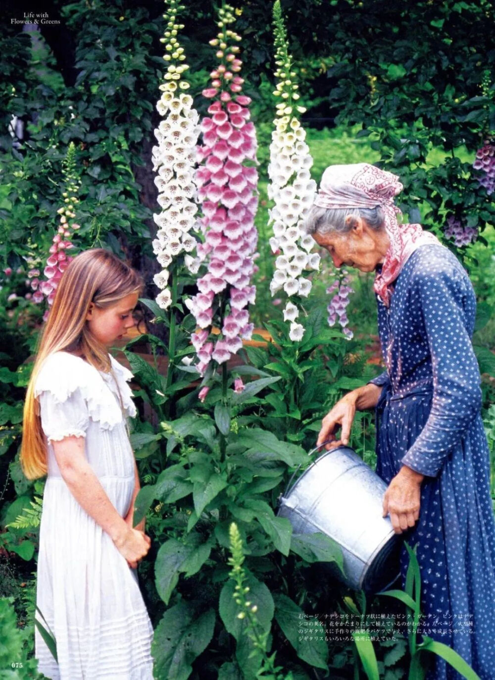 塔莎奶奶与她的花园
“每一个朵盛开的玫瑰，都带来永恒的春天的问候。”
泰戈尔_