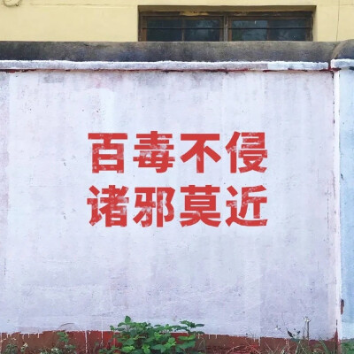 背景图