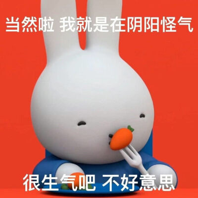 太可爱了吧 最右存的 侵删