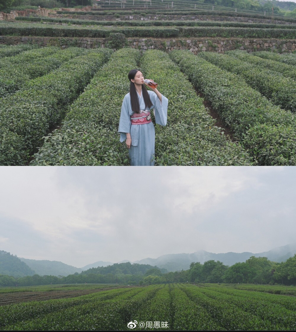 ⁰⁴ / ₂₃
“ 生来本是长青叶，一染相思便不同。”
雨过天晴 | 茶园花絮 | 视频截图
- ​​​ cr@周愚昧