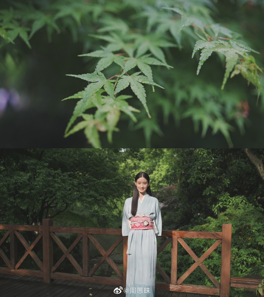 ⁰⁴ / ₂₃
“ 生来本是长青叶，一染相思便不同。”
雨过天晴 | 茶园花絮 | 视频截图
- ​​​ cr@周愚昧