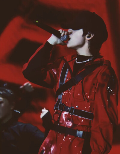 冬藏万物，神明未醒，总有重逢是人间赠与，陌上花开，可缓缓归矣。严浩翔