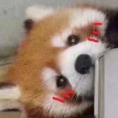 表情