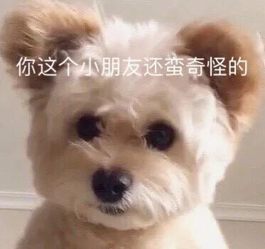 表情