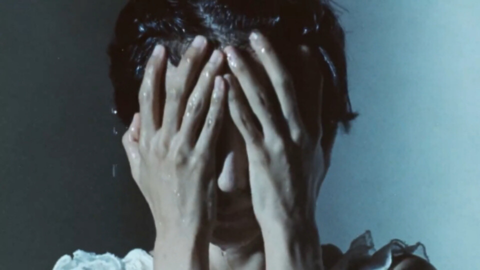 女主视角图‖苏稚童
别偷图了求求了