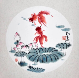 动物