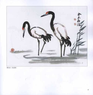 动物