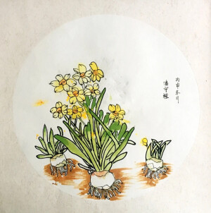 动物