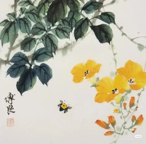 动物
