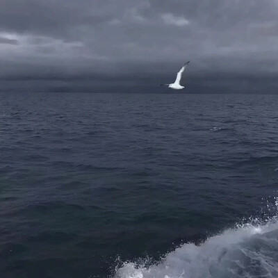 海的那边还是海吗