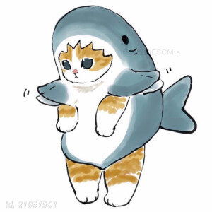 穿鲨鱼衣服的猫咪头像