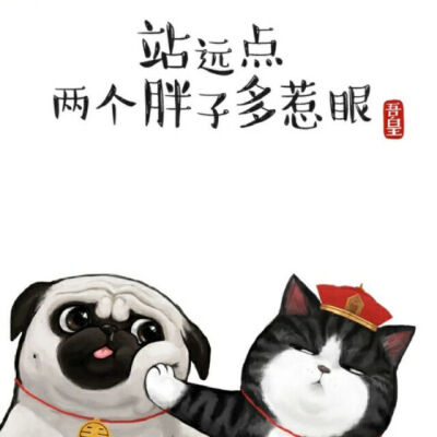 壁纸和表情包～