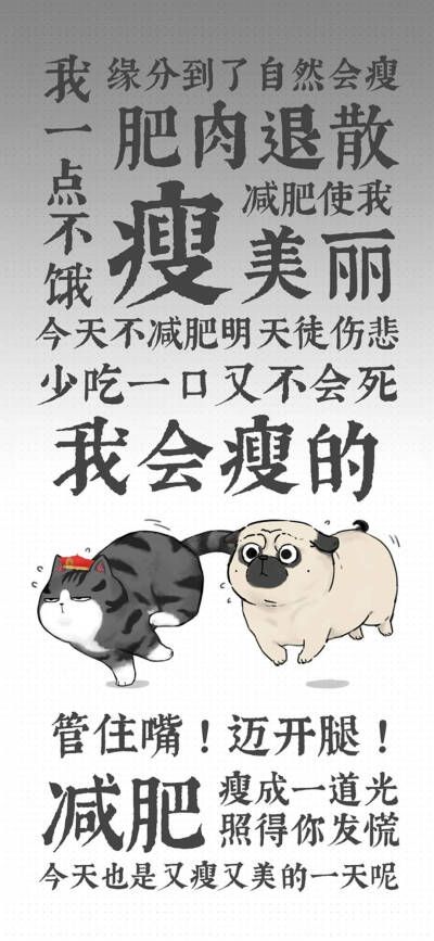 壁纸和表情包～