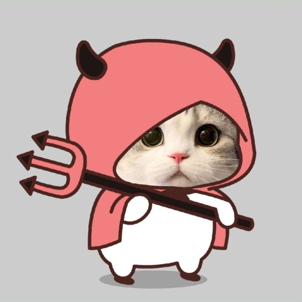 猫猫情头情侣头像