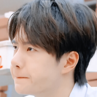 ✨吸猪猪✨ cr:logo