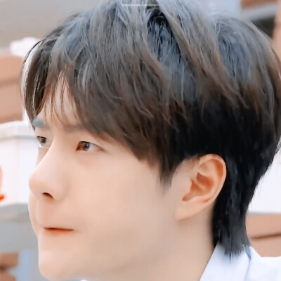 ✨吸猪猪✨ cr:logo