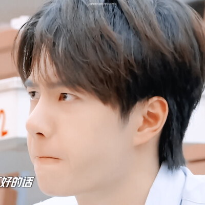 ✨吸猪猪✨ cr:logo