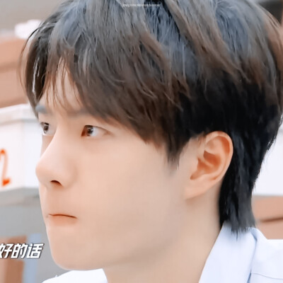 ✨吸猪猪✨ cr:logo